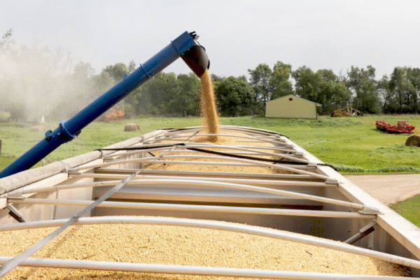 Фермери-сояри в США під час збору врожаю