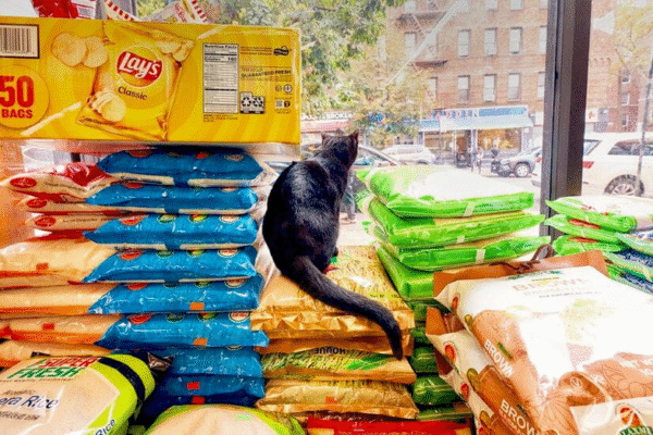 Bonoful Grocery in Astoria, Queens