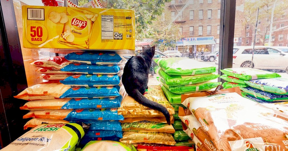 Внутрішній вигляд магазину Bonoful Grocery в Astoria