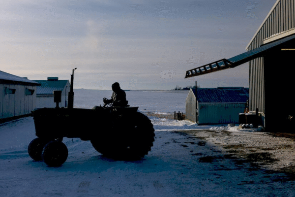 Фермери в США стурбовані запізнілою допомогою