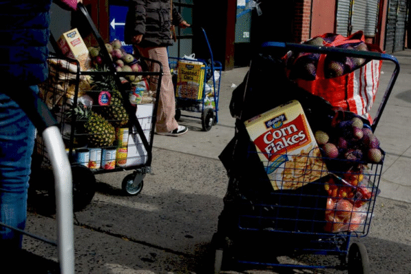 Федеральне закриття та програма харчування SNAP