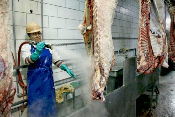 Завод Tyson Foods у Небрасці