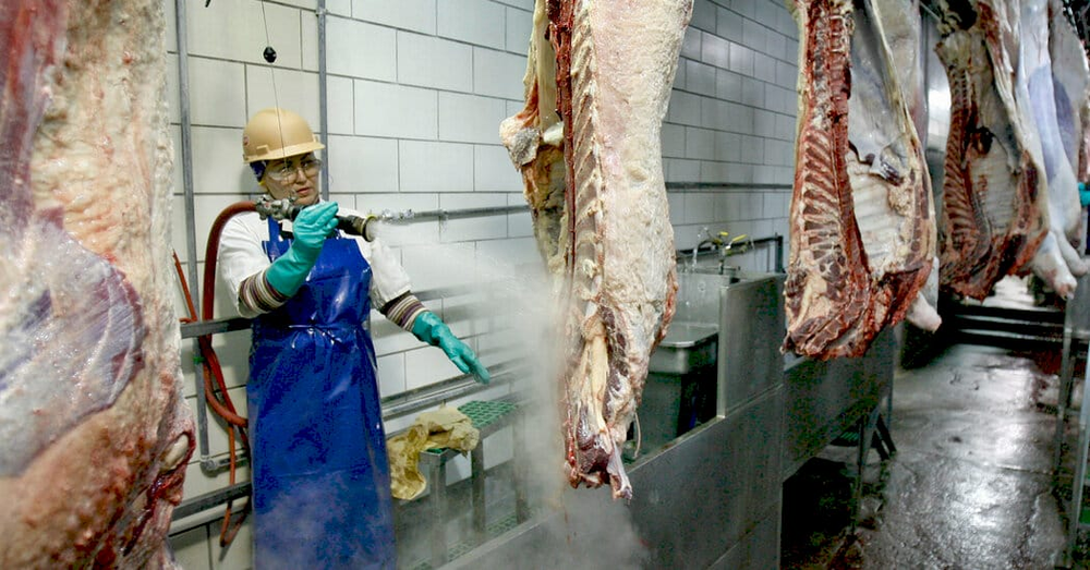 Завод Tyson Foods у Небрасці