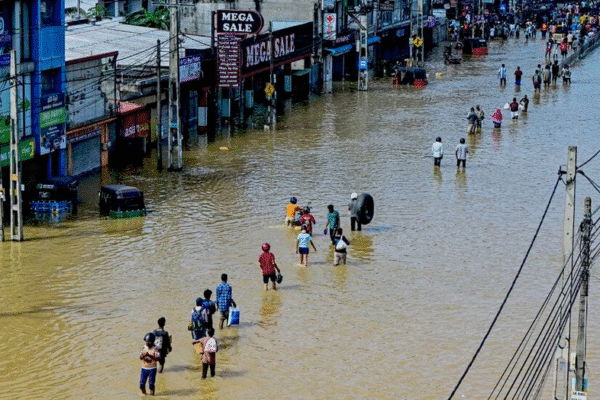 Дослідження впливу зміни клімату на економічні показники