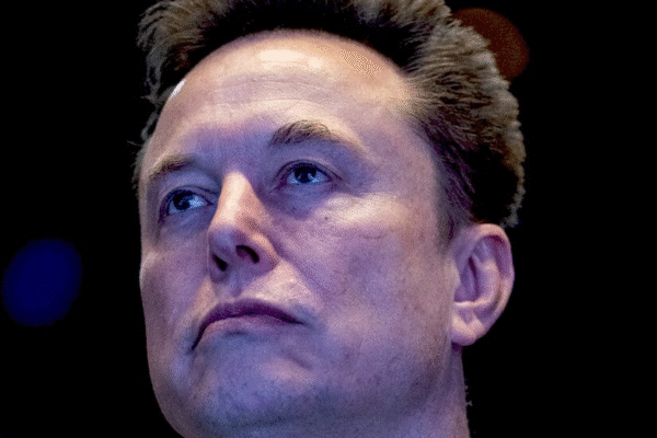 Зображення фонду Elon Musk