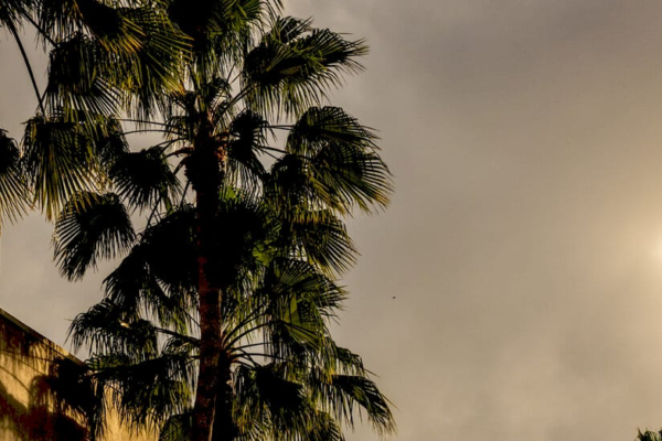 Закриття останніх магазинів Sears