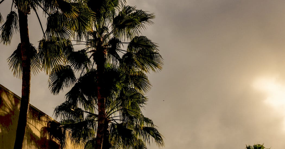 Закриття останніх магазинів Sears