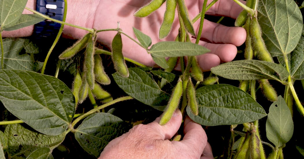 Президент Трамп на заході з фермерами