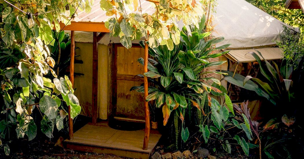 Лава, що вивергається з вулкана Кілауеа на Гаваях